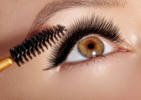 Närbild foto av vackra kvinnliga ögat med extrem lång Frans. Mascara, ögonskuggor, eyeliner tillämpa närbild. Kosmetiska borste. Ögon make-up tillämpas. Sexiga ögonfransarna makeup. — Stockfoto