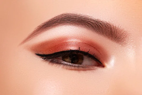 Beautiful Macro Shot Female Eye Classic Eyeliner Makeup Perfect Shape — Stock Photo, Image