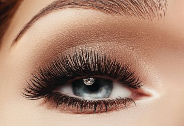 Beautiful Macro Female Eye with Extreme Long Eyelashes and Celebrate Makeup. Perfect Shape Make-up, Fashion Long Lashes. Perfect shape of eyebrows. Closeup macro shot of fashion smoky eyes visage