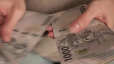 Kırgızistan 'da para tutuluyor. Kadın elleri banknotları sayıyor. Kırgız KGS kağıt para. Gelir, başarı, iş, vergi, ekonomi ve finans kavramı.