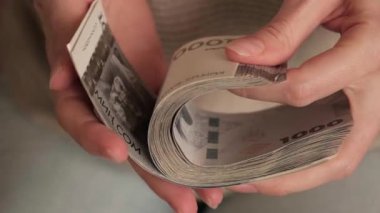 Kırgızistan 'da para tutuluyor. Kadın elleri banknotları sayıyor. Kırgız KGS kağıt para. Gelir, başarı, iş, vergi, ekonomi ve finans kavramı.
