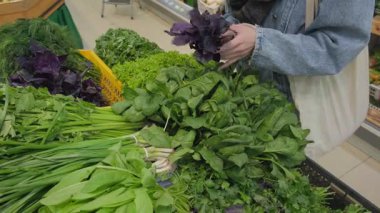 Markette ıspanak ve marul gibi taze sebzeler satın alınabilir. Taze sebze, maydanoz ve kişniş seçen bir kadın. Vejetaryen dostu, vejetaryen yemeği.