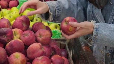 Yerel pazarda meyve tezgahında taze elma çeşitleri, satın almak için kadın parçaları seçiyor. Sahne sağlıklı gıda seçenekleri, mevsimlik üretim ve günlük alışveriş alışkanlıklarını vurguluyor.