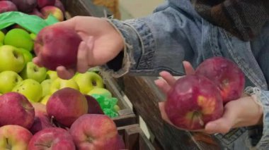 Kadın tüketici, temiz yemek, vitamin, bitki temelli yaşam tarzı ve doğal besin zengini ürünleri vurgulayarak, elele olgun elmaları seçerken, çiftçi pazarında farklı elma çeşitlerinin görüntülenmesi.