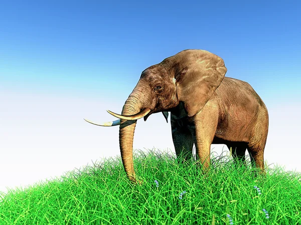 Elefante 3d en la naturaleza — Foto de Stock