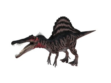 bir dinozor bir beyaz sahne içinde 3D render
