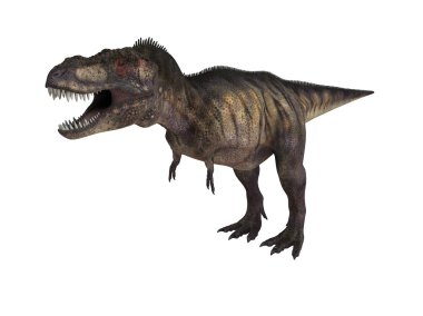 bir dinozor bir beyaz sahne içinde 3D render