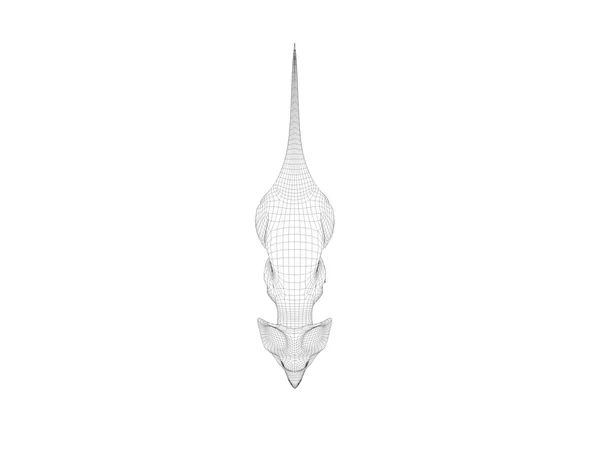 Dinosaure 3d wireframe — Photo