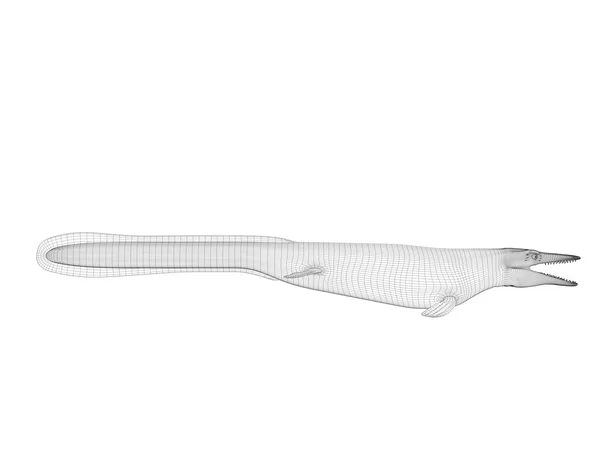 3d wireframe crocodile — Stock Photo, Image