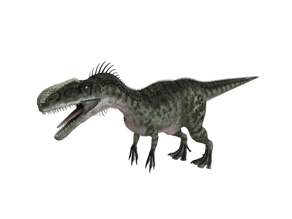 3D render egy dinoszaurusz, belsejében egy fehér színpad — Stock Fotó