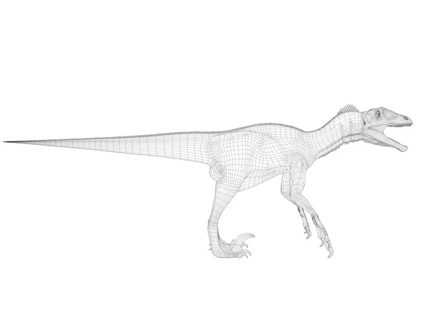 Dinosaure 3d wireframe — Photo