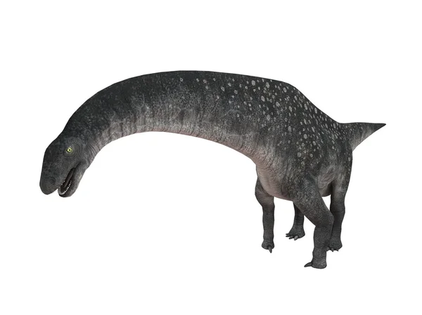 一个白色的阶段内的恐龙的 3d 渲染 — 图库照片
