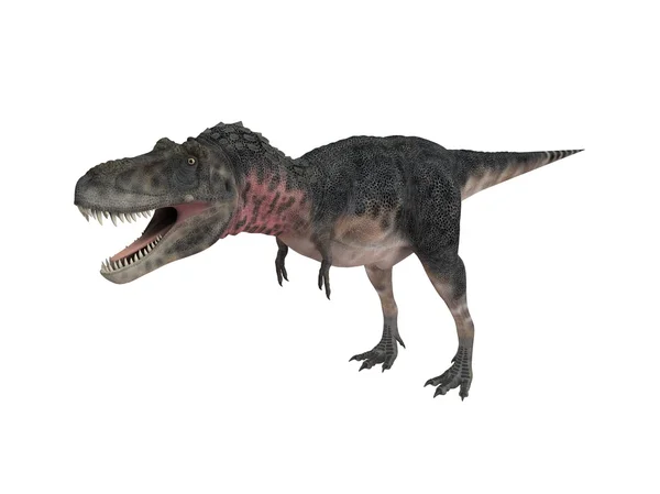 3D render egy dinoszaurusz, belsejében egy fehér színpad — Stock Fotó