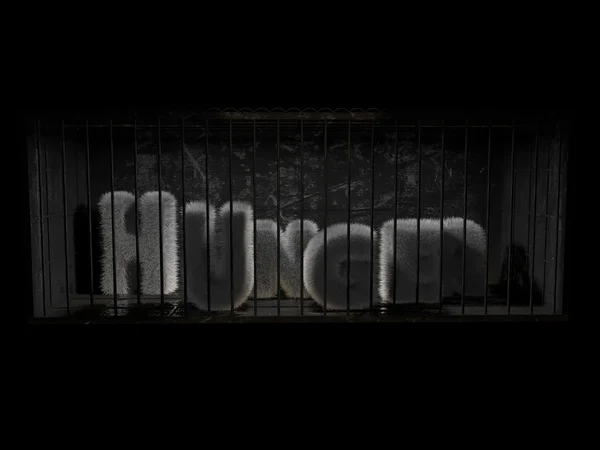 Una parola pelosa dentro la prigione — Foto Stock