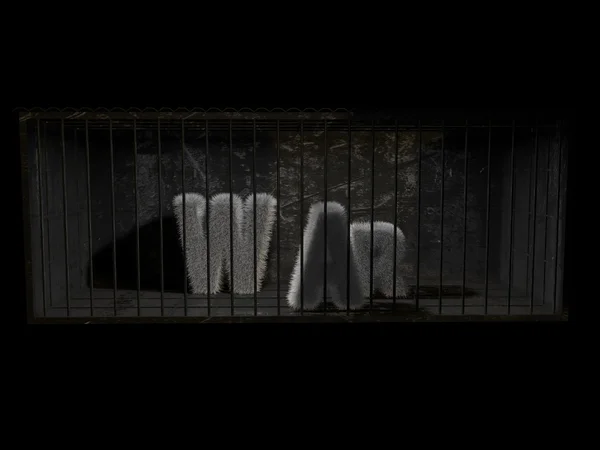 Uma palavra peluda dentro da prisão — Fotografia de Stock