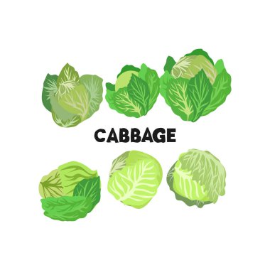 Ulusal lahana gününü basın Mutlu ulusal lahana günü tasarım vektörü