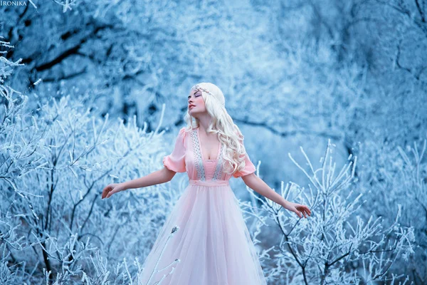Fantasy young woman in image of medieval princess sits on a tree in  luxurious blue vintage dress. Background Winter frozen cold nature, wind  sunset. Elegant girl fairy tale fashion model. Snow Queen —