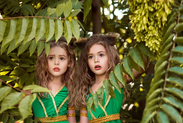 Petits habitants de la forêt — Photo