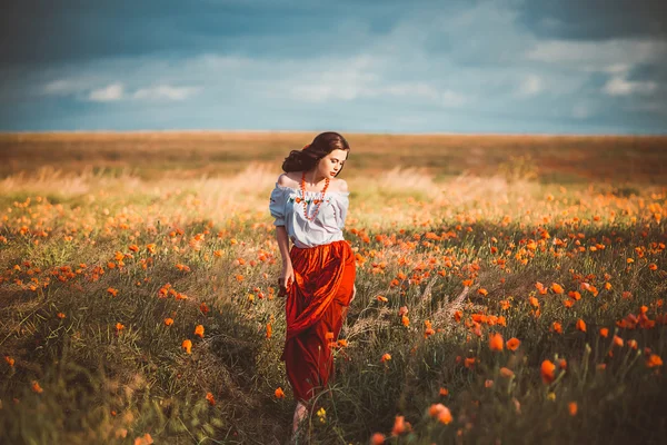 Bella ragazza in ucraino — Foto Stock