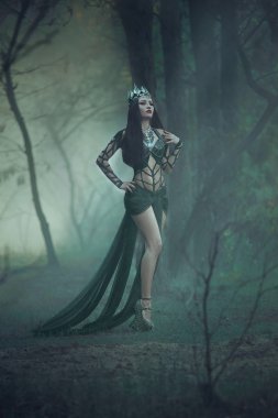 karanlık kötü Kraliçe