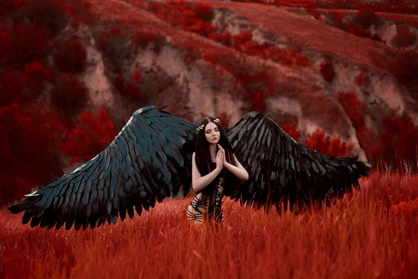 黑色堕落的天使 — 图库照片