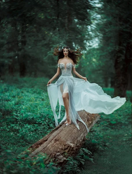 Fantasy skog fairy. — Stockfoto