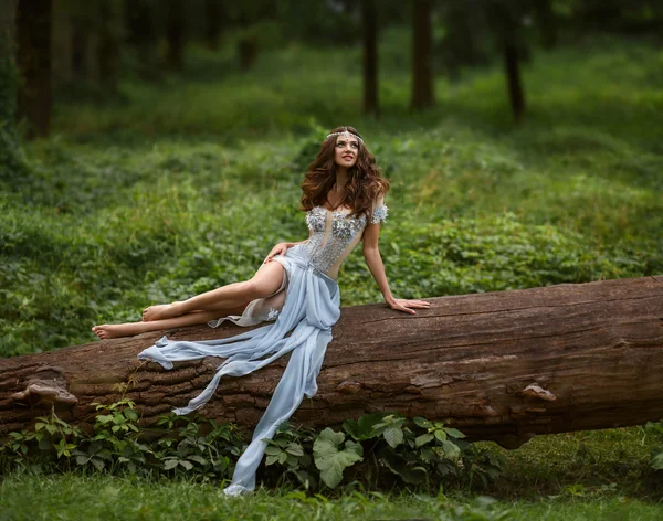 Fairy sierlijk zittend op een logboek. — Stockfoto