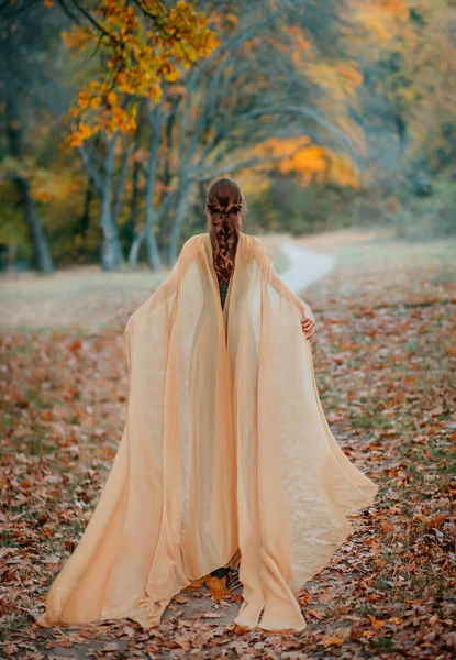 Fantasy älva kvinna med långt hår i en medeltida klänning med cape. Långhårig rödhårig alvflicka går bort i fjärran genom den dimmiga höstskogen. Bakifrån. Konstbearbetning av gula träd — Stockfoto
