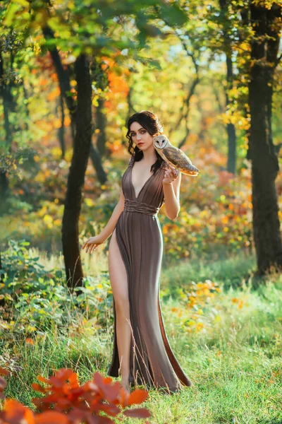 明るい秋のおとぎ話。ファンタジー女性は納屋のフクロウを持っています。森のニンフの少女は白い鳥を手に持っている。長いドレスでロマンチックな女性の肖像画。自然の芸術的背景緑の草黄色の木 — ストック写真