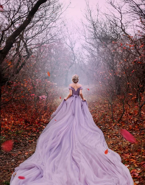 Kunst Fantasie schöne Frau Königin Spaziergang im Herbst mystischen Wald, orangefarbene Blätter kahlen Bäumen. Magisches göttliches Licht, das im gotischen Nebel glüht. Mädchen Prinzessin. Mittelalterliches lila Kleid lange Schleppe. Rückseite Rückseite — Stockfoto