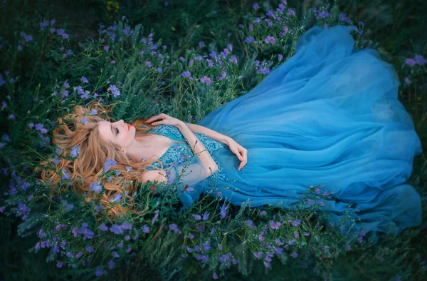 Uyuyan güzel bir peri masalı. Fantezi kadın uzun mavi ortaçağ klasik elbisesiyle çiçek açan çayırda yatıyor. Yaz doğası geçmişi, mor çiçeklerden yeşil çim yatağı. Büyülü prenses. — Stok fotoğraf