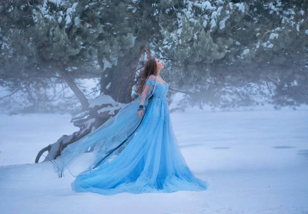 Gyönyörű fantázia nő egy középkori kék buja ruha sétál a téli erdőben. Vintage történelmi ruházat repül a szél. Fehér hó lucfenyő fa háttér. Hosszú hajú lány tündérmese fagyasztott hercegnő — Stock Fotó