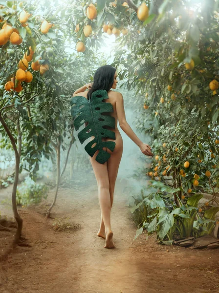 Young woman in image of woman Eve. sexy girl walks in Divine Garden of Eden, covering her naked body with large leaf of palm tree. Summer nature background green lemon trees sun fog. Back rear view. — Stock Photo, Image