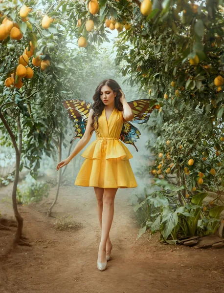 Sprookjesmeisje wandelend in een prachtige citroentuin. Fantasie vrouw in het kort gele jurk pixie kostuum, nep plastic vlinder vleugels. Lang haar. Carnavalskleding. Groene citroenen bomen, vruchten op takken. — Stockfoto