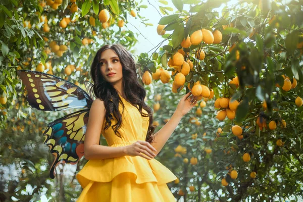 Fairy tale girl walking in fabulous lemon garden. Fantasy woman in bright yellow dress pixie costume, fake plastic butterfly wings. Long hair. Carnival clothing. Green lemons trees, fruits on branches — Stock Photo, Image