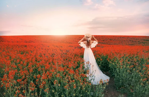 Siluettkvinnan. vit lång vintage klänning. Prinsessan medeltida dam i historiska kläder. Halmhatt båtfarare blommor. Arom våren natur rosa blommande fält, blå himmel solnedgång sol ljus. Bakifrån — Stockfoto