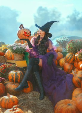 Sanat fotoğrafı gerçek insan mutlu güzel kadın turuncu balkabağı oymalı Jack o Lantern. fantezi gülen yüz gizemli kız mor elbise siyah şapka. Cadılar Bayramı hasat balkabakları Şükran Günü