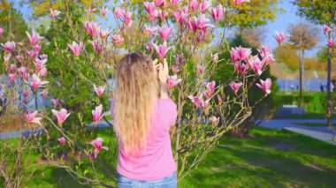 Şehir parkında yürüyen genç ve güzel bir kadın çiçek açan ağaçlara dokunuyor. Pembe manolya çiçekleri aroma çiçeklerinin tadını çıkarıyor. Alerjilerden arınmış yeşil doğa güneşi ışığının tadını çıkarıyor. Yetişkin kız kıvırcık sarı saçlar