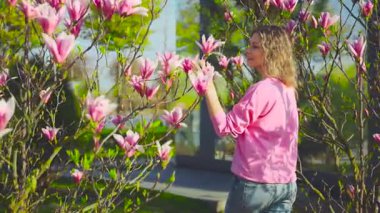 Parkta yürüyen mutlu sarışın kadının portresi çiçek açan ilk çiçeklerin tadını çıkarıyor. Dalların arasındaki bulanık siluet. Bahar doğasına hayranlık duyan pembe manolya çiçeği ağacı yeşil çimen güneşi.