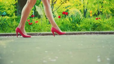  long female sexy legs walking on pavement pink elegant high heel shoes. happy woman goes to work. road summer nature park green grass flowers trees city stree. sun light day. Girl sexy fashion model 