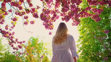 Happy woman spinning dancing enjoy spring nature green leaves trees pink sakura flowers sun light park. Beauty girl silhouette in sun flare, long blond hair flying in wind slow motion. White dress 4k