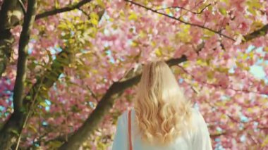 Stylish happy woman blonde long hair walking in public park sakura pink flowers branch tree enjoy spring nature sunny day mystery lady back rear view. adult girl fashion model trendy white dress bag