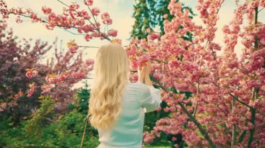 young happy woman back rear view blonde hair beauty smiling face holding flower enjoying aroma sakura pink flowers. Adult girl fashion model. spring garden tree nature day sun light flare. 4k 8 march 
