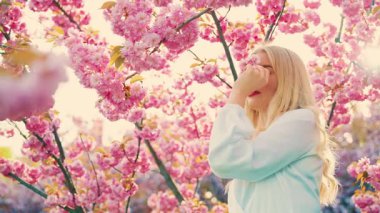 Yakın plan mutlu sarışın kadın bahar aromasının tadını çıkarıyor sakura ağacı açıyor. Elleri pembe çiçek tutan, dudaklarını okşayan seksi, yetişkin bir kız. Park yeşil ağaç bahçesi gökyüzü güneş ışığı aydınlık gün