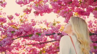 Mutlu sarı saçlı kadın arkana bak rüzgar rüzgarı taç yaprakları pembe sakura çiçeklerinden düşüyor ağaç dalları yaz bahçesi güneş ışığı. Gülen kız aroma çiçeği soluyor. Rahatla. Baharın tadını çıkar.