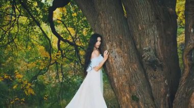 Karanlık Orman 'da yaşlı ağaç gövdesine dokunan gizemli kadın. Prenses kız. Siyah saçlı, uzun, klasik elbiseli güzel bayan. Doğanın tadını çıkarın..