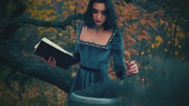 Ortaçağ fantezi cadısı, el sallama büyüsü. Sihirli siyah duman, fıçıdan çıkan sis. Bayan kraliçe kadife kadife uzun kaliteli elbise ipek pelerin. Sonbahar doğası. Karanlık gotik orman dalları. 