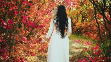 Klasik elbiseli zarif romantik kadın omzunda beyaz ahır baykuşuyla yürüyor. Kız prenses dikiz aynasından güzel uzun saçlı. Hayvan evcil hayvanıyla kraliçe avı. Autumn forest video 4k.