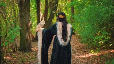 Fantezi tanrıçası beyaz kuş ahırında baykuşla birlikte ormanın derinliklerinde yürüyor. Prenses kız. Yaz doğası yeşil ağaçlar güneş ışığı. Eski moda kürk pelerin kaplama. Arka plan gizemli siluet 4k