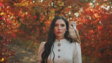 Klasik elbiseli zarif romantik kadın beyaz ahır baykuşuyla yürüyor. Kız prenses, portre güzelini yakından çek. Yüzü koyu, uzun saçlı. Hayvan evcil hayvanıyla kraliçe avı. Sonbahar ormanı.